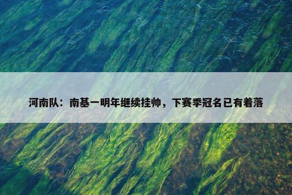 河南队：南基一明年继续挂帅，下赛季冠名已有着落