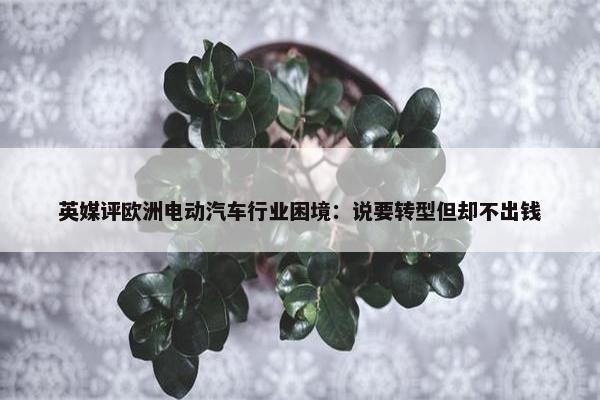 英媒评欧洲电动汽车行业困境：说要转型但却不出钱