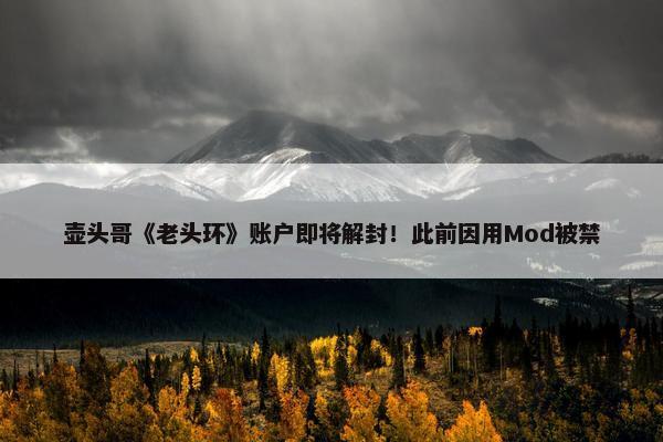 壶头哥《老头环》账户即将解封！此前因用Mod被禁