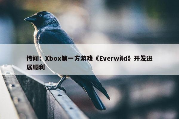 传闻：Xbox第一方游戏《Everwild》开发进展顺利