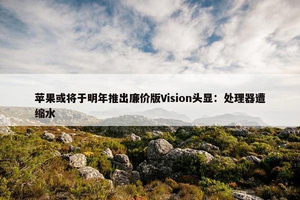 苹果或将于明年推出廉价版Vision头显：处理器遭缩水