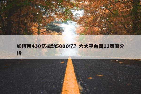 如何用430亿撬动5000亿？六大平台双11策略分析