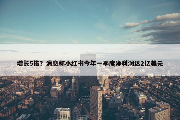 增长5倍？消息称小红书今年一季度净利润达2亿美元