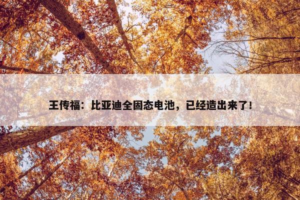 王传福：比亚迪全固态电池，已经造出来了！