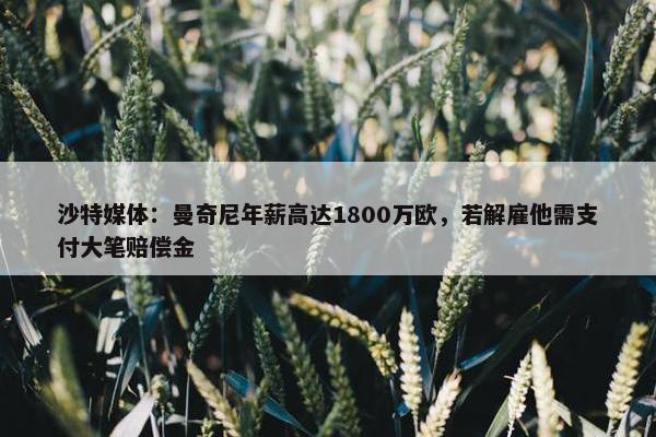 沙特媒体：曼奇尼年薪高达1800万欧，若解雇他需支付大笔赔偿金