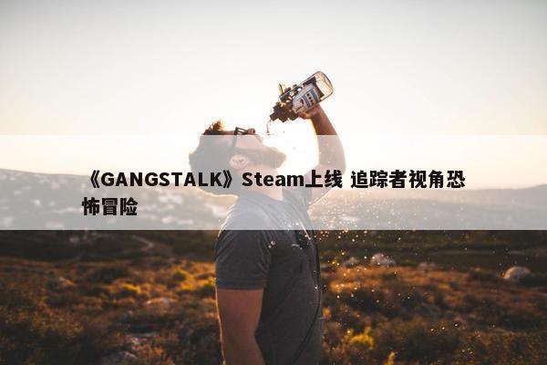 《GANGSTALK》Steam上线 追踪者视角恐怖冒险