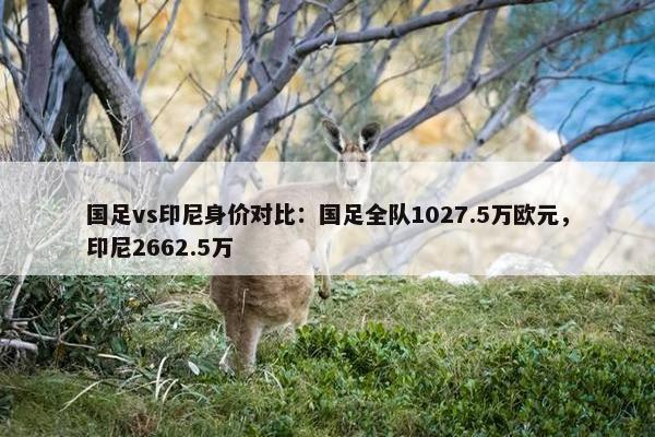 国足vs印尼身价对比：国足全队1027.5万欧元，印尼2662.5万