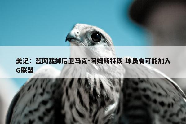 美记：篮网裁掉后卫马克-阿姆斯特朗 球员有可能加入G联盟