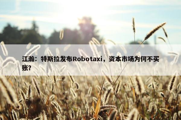 江瀚：特斯拉发布Robotaxi，资本市场为何不买账？