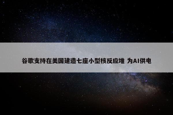 谷歌支持在美国建造七座小型核反应堆 为AI供电