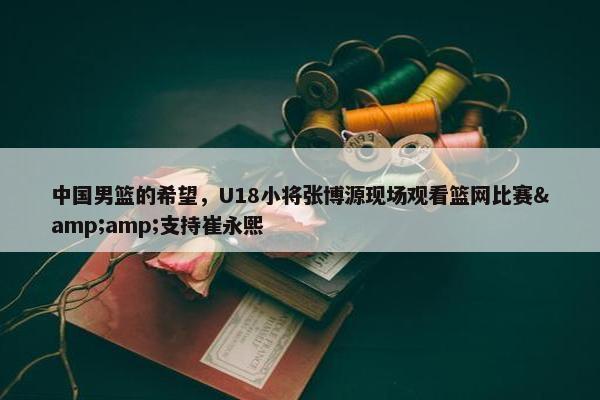 中国男篮的希望，U18小将张博源现场观看篮网比赛&支持崔永熙