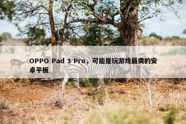 OPPO Pad 3 Pro，可能是玩游戏最爽的安卓平板