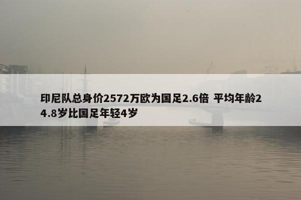 印尼队总身价2572万欧为国足2.6倍 平均年龄24.8岁比国足年轻4岁