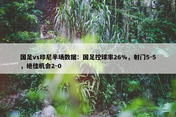 国足vs印尼半场数据：国足控球率26%，射门5-5，绝佳机会2-0