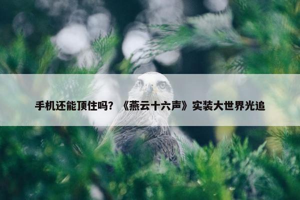 手机还能顶住吗？《燕云十六声》实装大世界光追