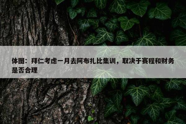 体图：拜仁考虑一月去阿布扎比集训，取决于赛程和财务是否合理