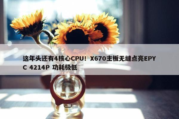 这年头还有4核心CPU！X670主板无缝点亮EPYC 4214P 功耗极低