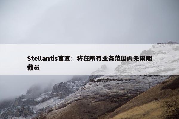 Stellantis官宣：将在所有业务范围内无限期裁员