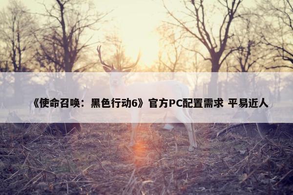 《使命召唤：黑色行动6》官方PC配置需求 平易近人