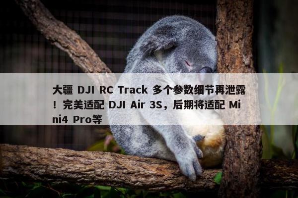 大疆 DJI RC Track 多个参数细节再泄露！完美适配 DJI Air 3S，后期将适配 Mini4 Pro等