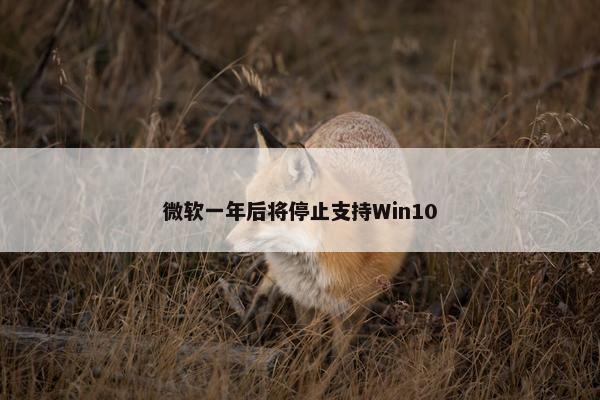 微软一年后将停止支持Win10