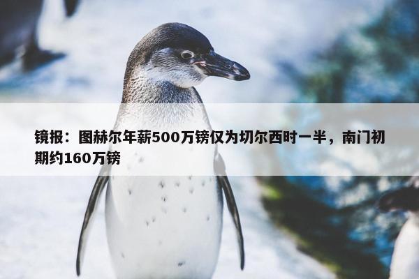 镜报：图赫尔年薪500万镑仅为切尔西时一半，南门初期约160万镑