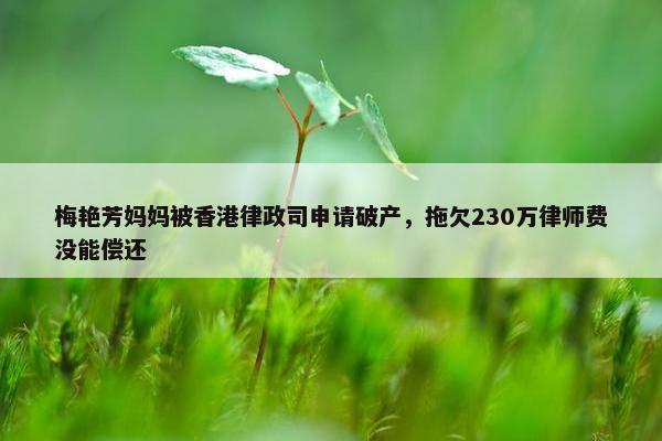 梅艳芳妈妈被香港律政司申请破产，拖欠230万律师费没能偿还