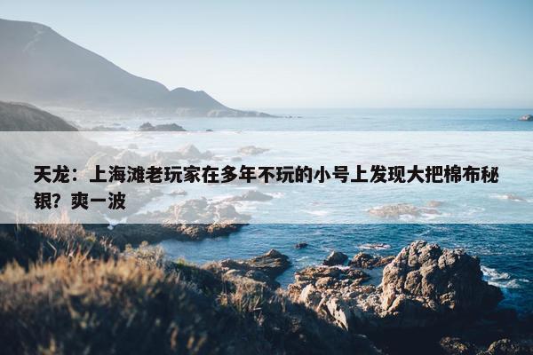 天龙：上海滩老玩家在多年不玩的小号上发现大把棉布秘银？爽一波