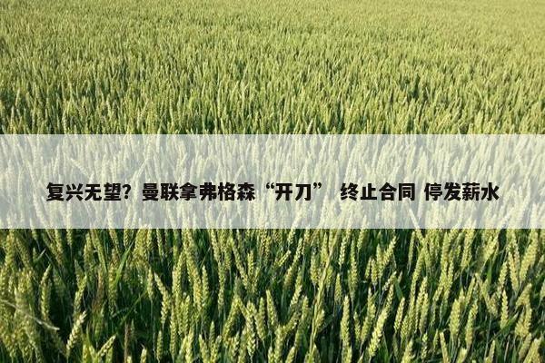 复兴无望？曼联拿弗格森“开刀” 终止合同 停发薪水