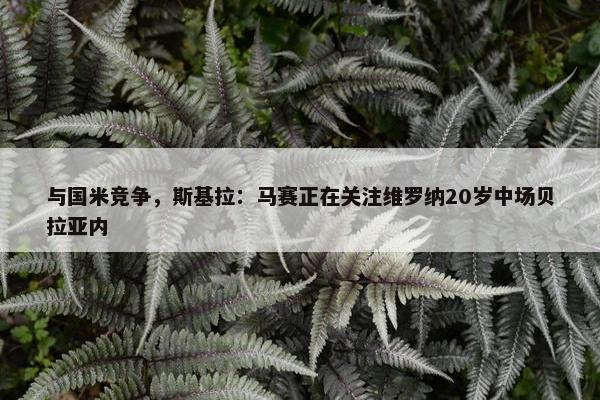 与国米竞争，斯基拉：马赛正在关注维罗纳20岁中场贝拉亚内