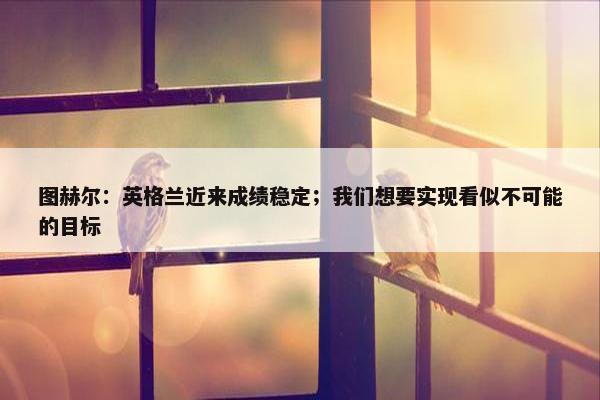 图赫尔：英格兰近来成绩稳定；我们想要实现看似不可能的目标