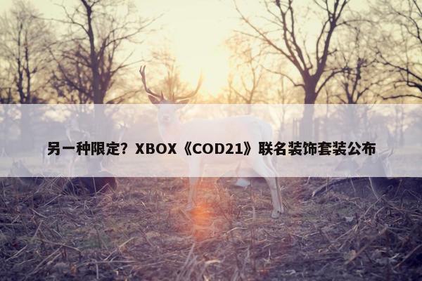 另一种限定？XBOX《COD21》联名装饰套装公布