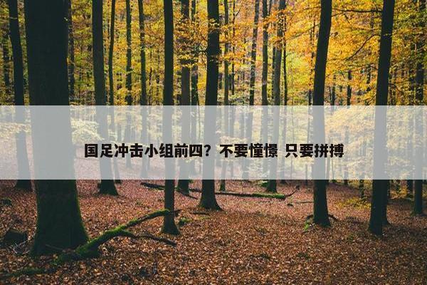 国足冲击小组前四？不要憧憬 只要拼搏