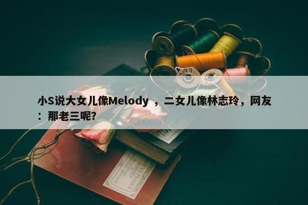 小S说大女儿像Melody ，二女儿像林志玲，网友：那老三呢？