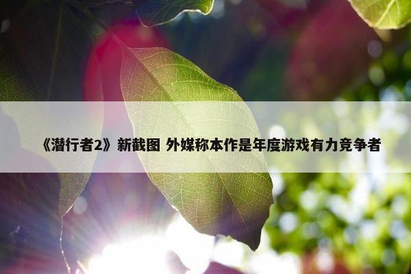 《潜行者2》新截图 外媒称本作是年度游戏有力竞争者