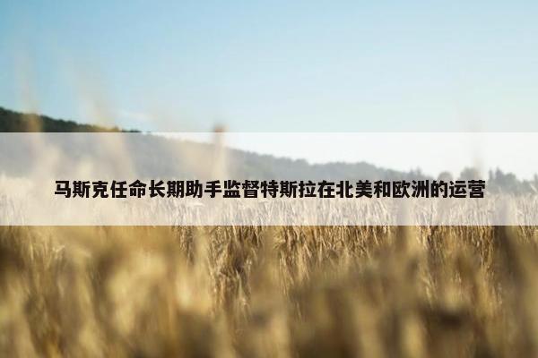 马斯克任命长期助手监督特斯拉在北美和欧洲的运营