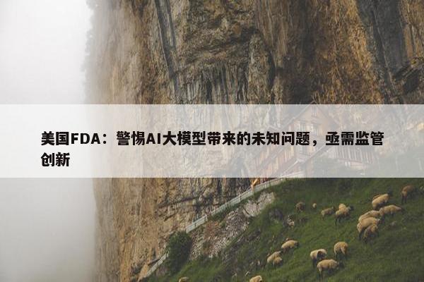 美国FDA：警惕AI大模型带来的未知问题，亟需监管创新