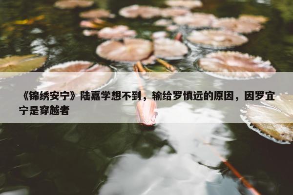 《锦绣安宁》陆嘉学想不到，输给罗慎远的原因，因罗宜宁是穿越者