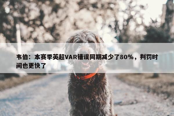 韦伯：本赛季英超VAR错误同期减少了80％，判罚时间也更快了