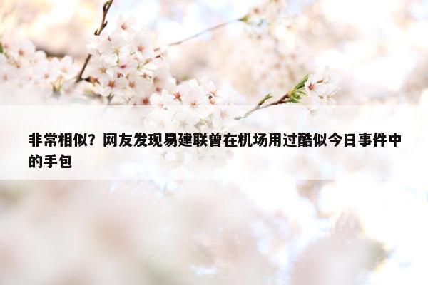 非常相似？网友发现易建联曾在机场用过酷似今日事件中的手包