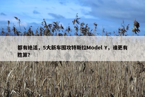 都有绝活，5大新车围攻特斯拉Model Y，谁更有胜算？