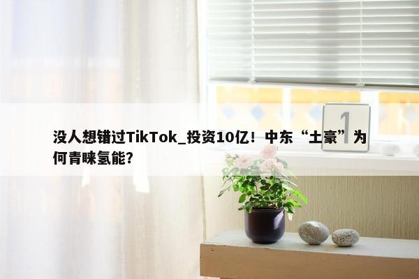 没人想错过TikTok_投资10亿！中东“土豪”为何青睐氢能？