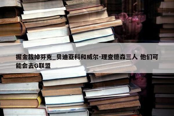 掘金裁掉芬克_贝迪亚科和威尔-理查德森三人 他们可能会去G联盟