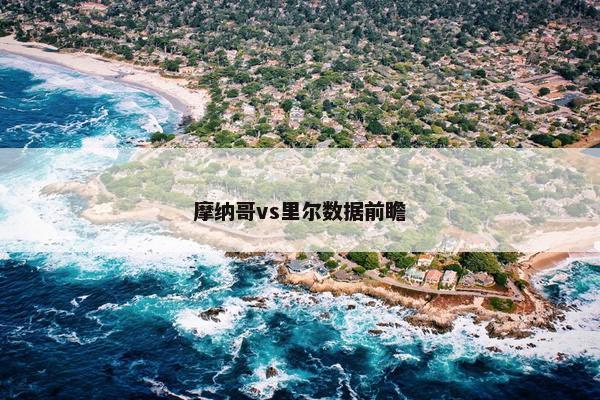 摩纳哥vs里尔数据前瞻