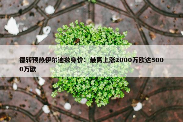 德转预热伊尔迪兹身价：最高上涨2000万欧达5000万欧