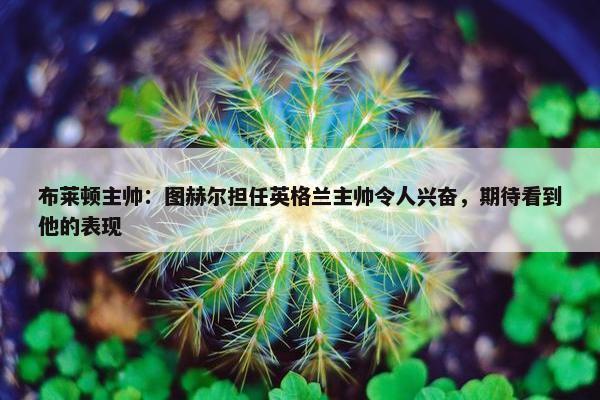 布莱顿主帅：图赫尔担任英格兰主帅令人兴奋，期待看到他的表现