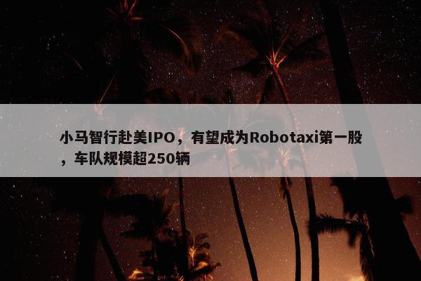 小马智行赴美IPO，有望成为Robotaxi第一股，车队规模超250辆