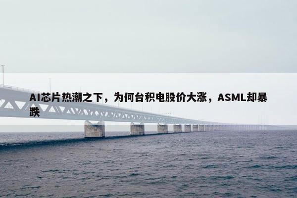 AI芯片热潮之下，为何台积电股价大涨，ASML却暴跌