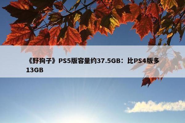 《野狗子》PS5版容量约37.5GB：比PS4版多13GB