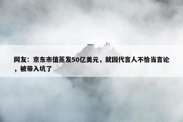 网友：京东市值蒸发50亿美元，就因代言人不恰当言论，被带入坑了